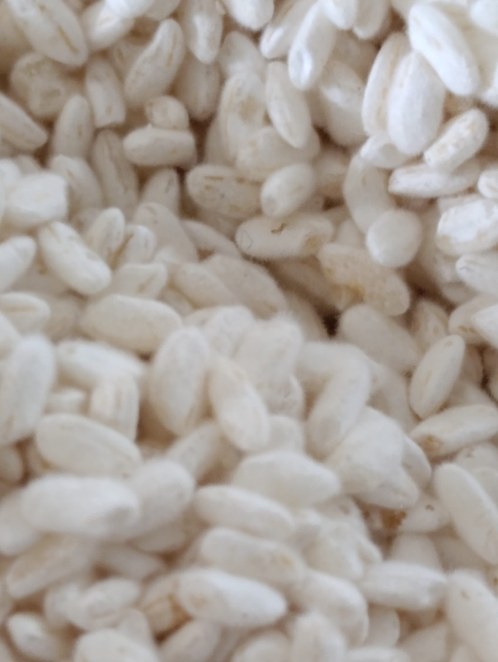 Gros plan de grains de riz koji blancs et poudreux