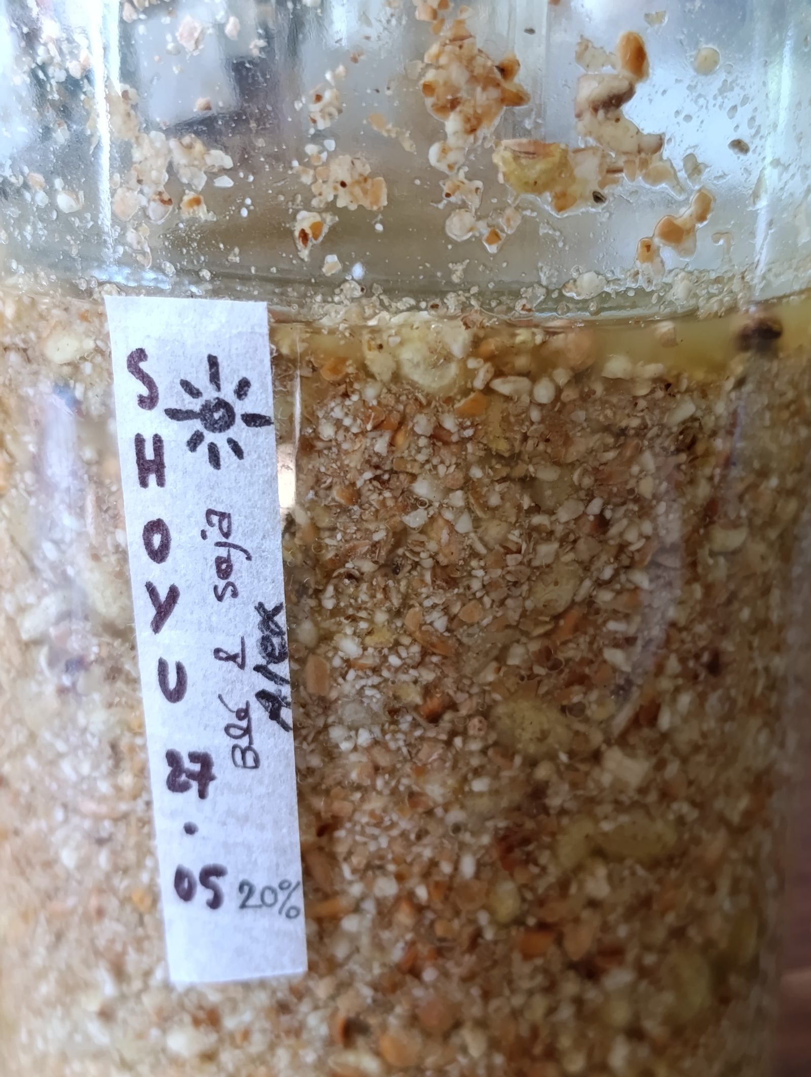 Bocal de shoyu en fermentation avec étiquette manuscrite
