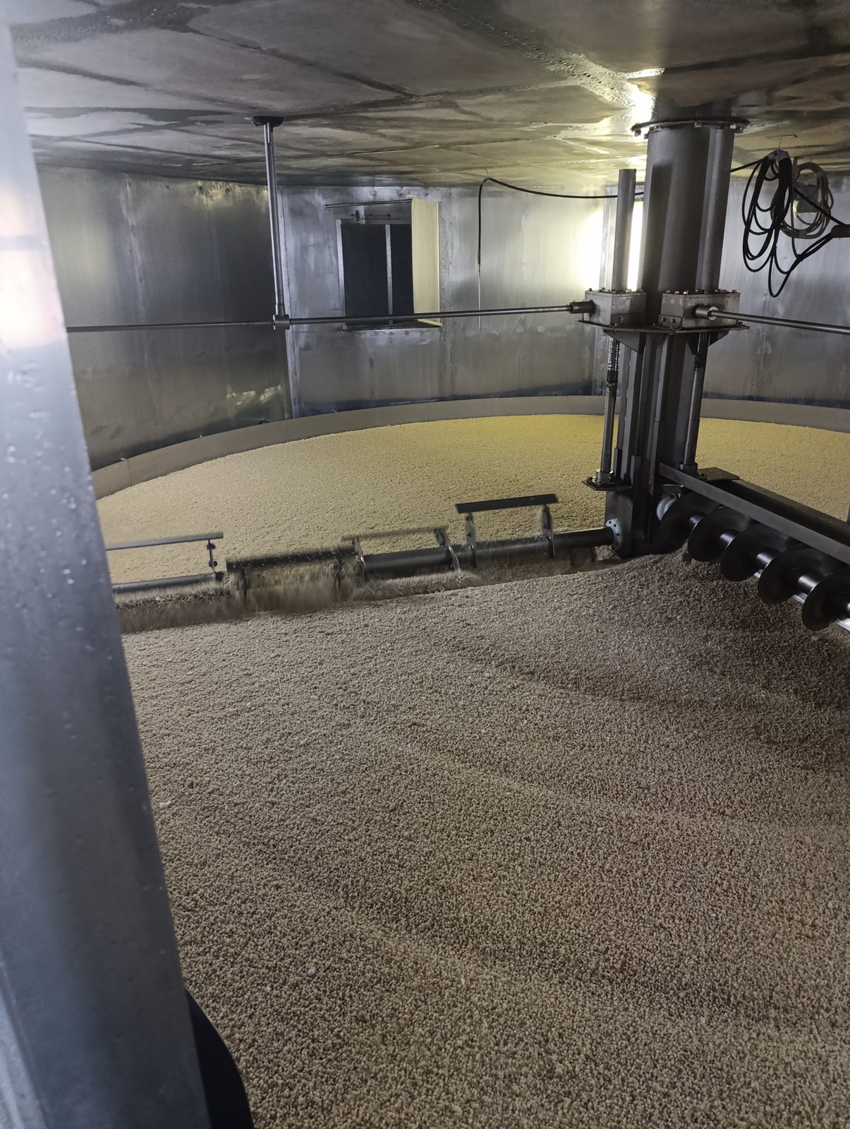 Vue plongeante dans une immense cuve circulaire de koji, avec le bras rotatif et ses vis sans fin qui retournent le grain