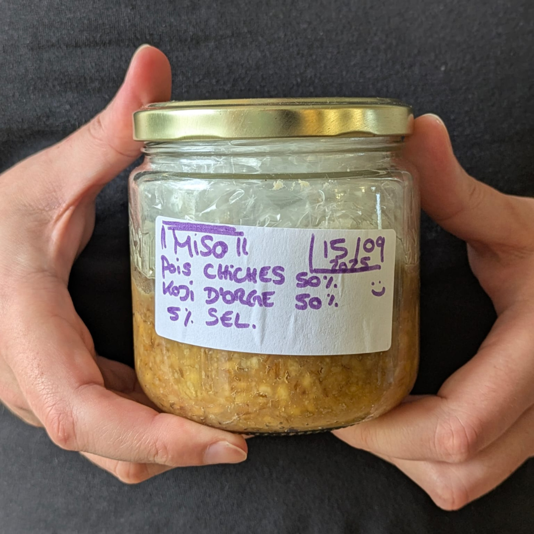 Bocal de miso pois chiches et koji d'orge, étiqueté à la main, tenu entre les mains